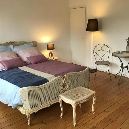 Vila Le 120 Maison Famille Ville Piscine Albi